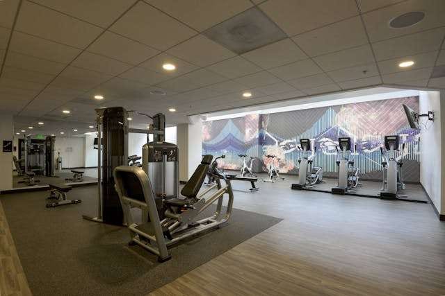 A fitness centre with weight machines and treadmills on grey wood-look flooring.
