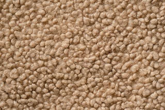 Close-up of tan looped carpet pile.