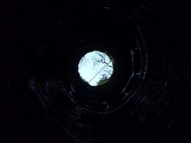 A view up a dark circular shaft toward daylight and a tree.