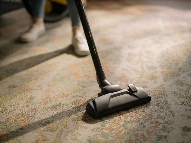 A vacuum cleaning a patterned area rug.