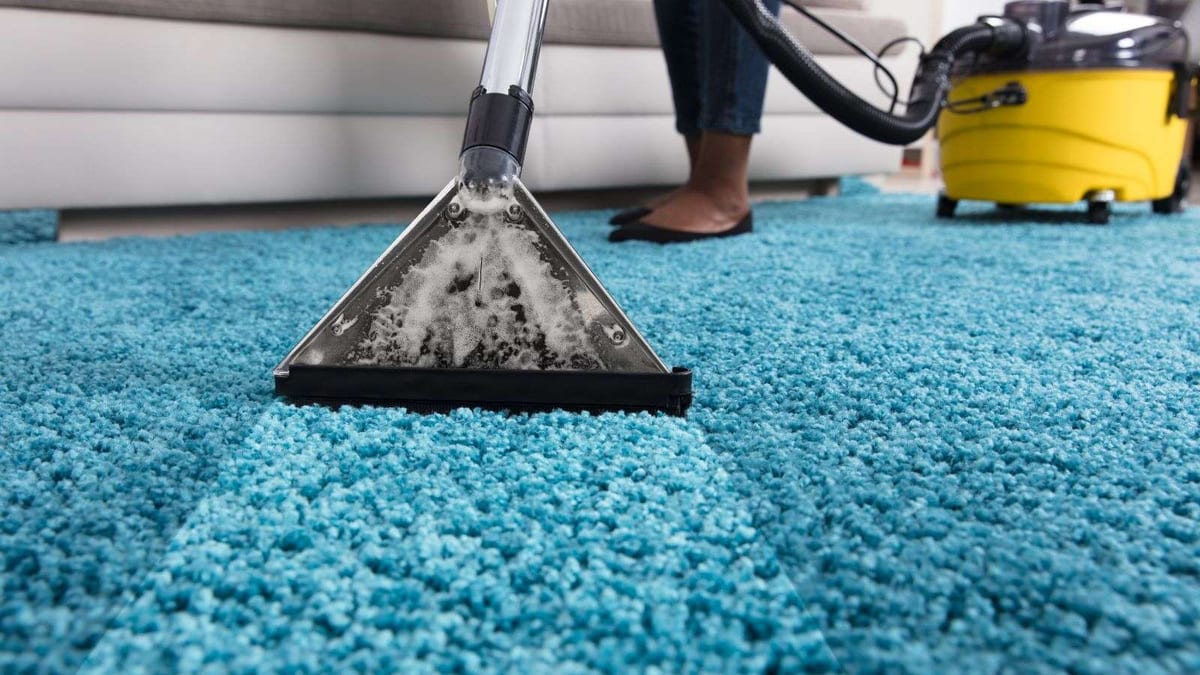 A carpet cleaning machine extracting water from a blue shag rug.