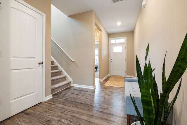 A front entry with grey-brown wood-look flooring, a carpeted staircase and a snake plant.