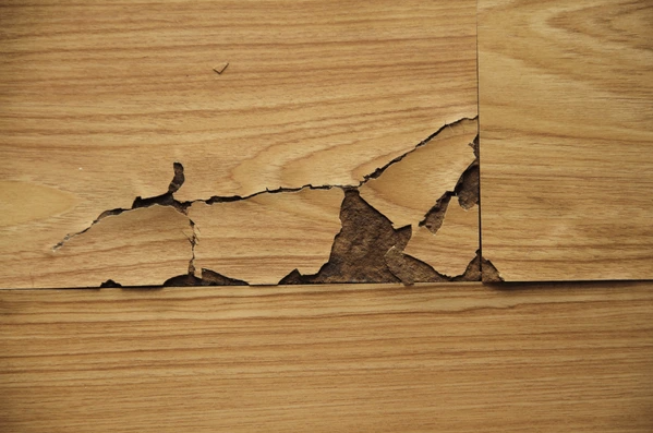 Damaged laminate flooring